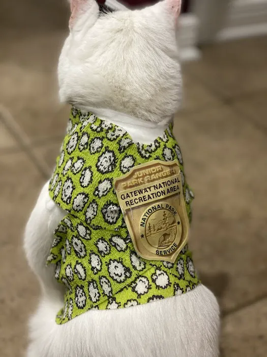 Shoreside Veterinary Care Picture 3