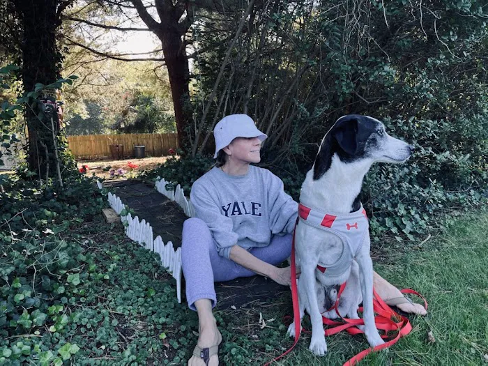 Shoreside Veterinary Care Picture 2