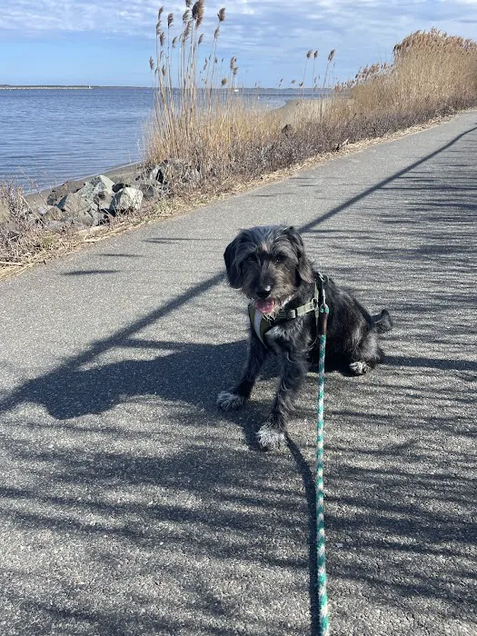 Shoreside Veterinary Care Picture 4