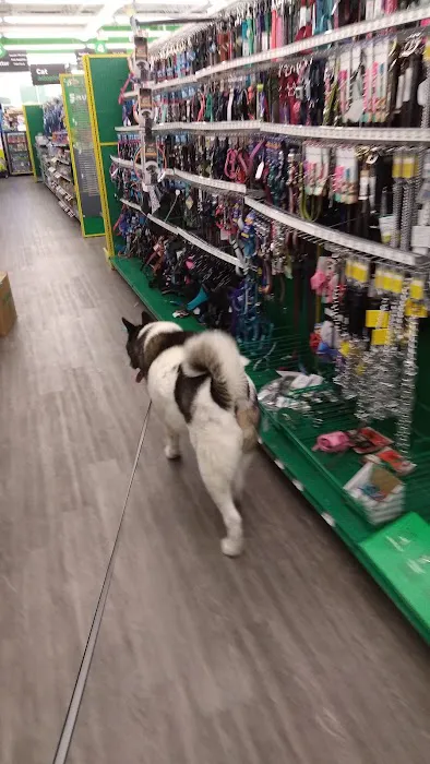 Pet Supplies Plus Westerville Picture 1