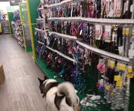 Pet Supplies Plus Westerville