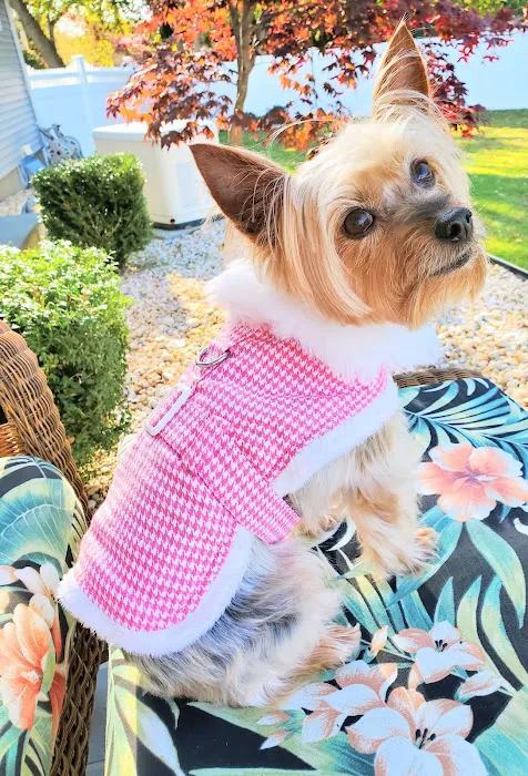 Garden State Veterinary Specialists Eatontown Picture 5