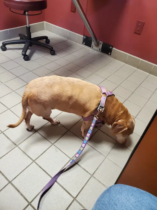 Garden State Veterinary Specialists Eatontown Picture 7