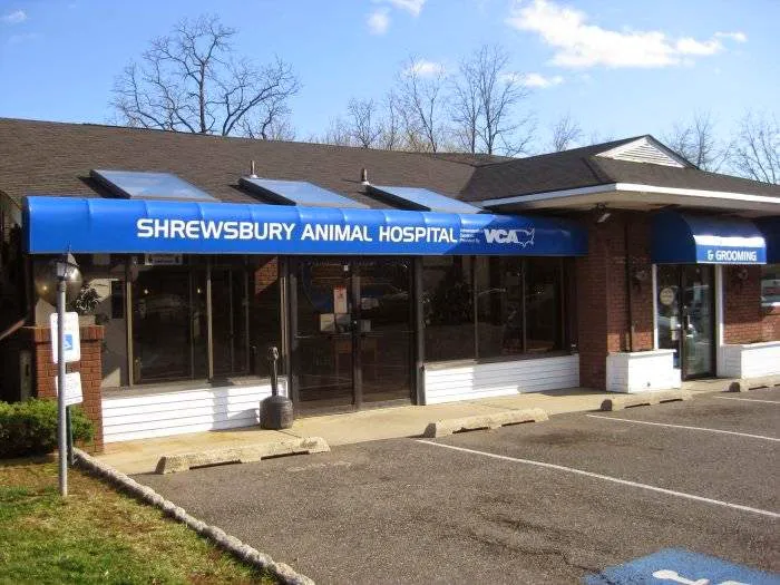 Shrewsbury Animal Hospital Picture 3