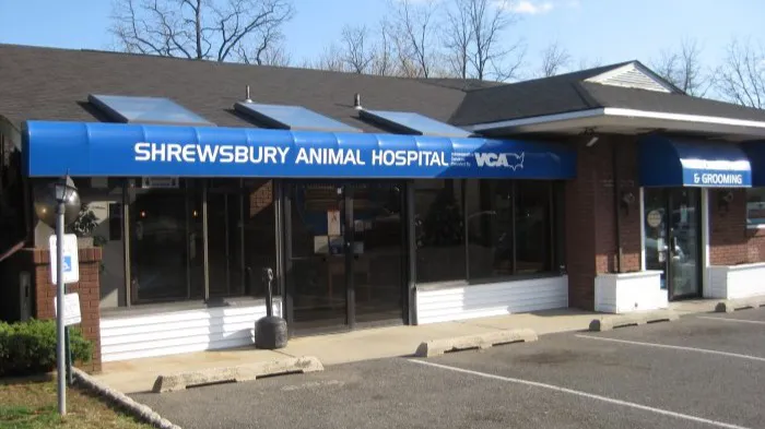 Shrewsbury Animal Hospital Picture 6