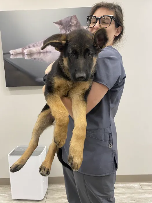 Shrewsbury Animal Hospital Picture 5