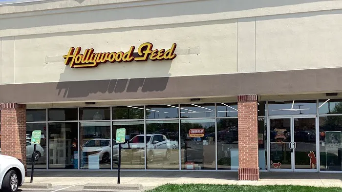 Hollywood Feed Picture 2