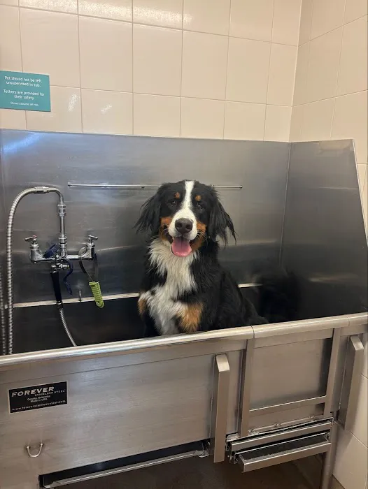 Hollywood Feed Picture 6