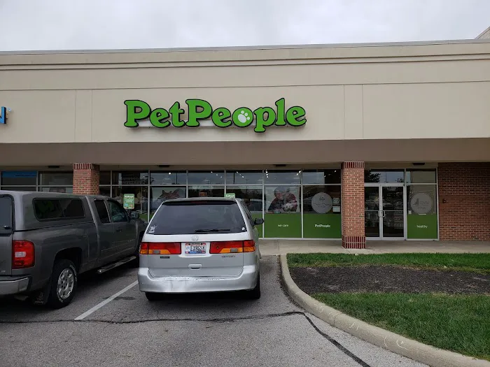 Hollywood Feed Picture 3