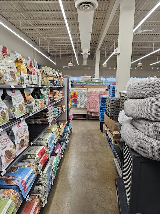 Hollywood Feed Picture 7