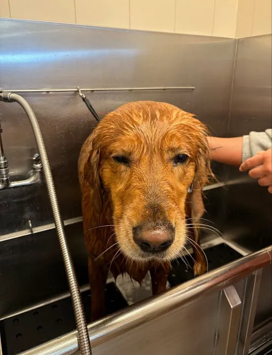 Hollywood Feed Picture 4