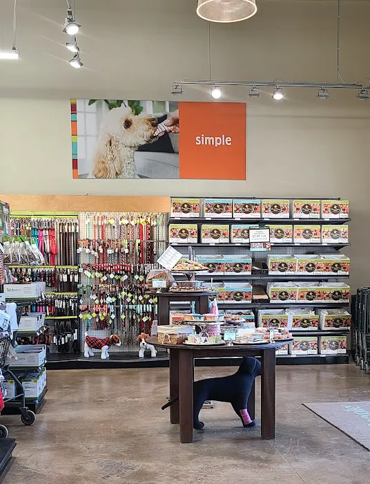 Hollywood Feed Picture 1