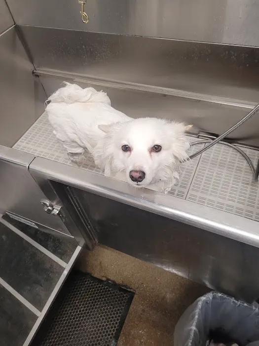 Hollywood Feed Picture 5