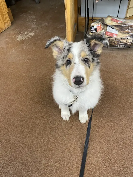 Hollywood Feed Picture 10