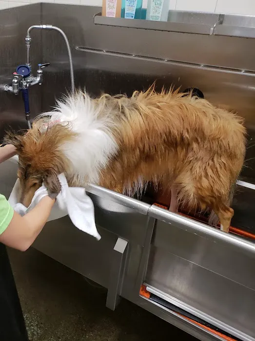 Hollywood Feed Picture 2