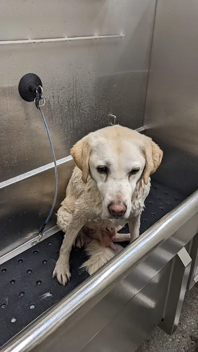 Hollywood Feed Picture 1