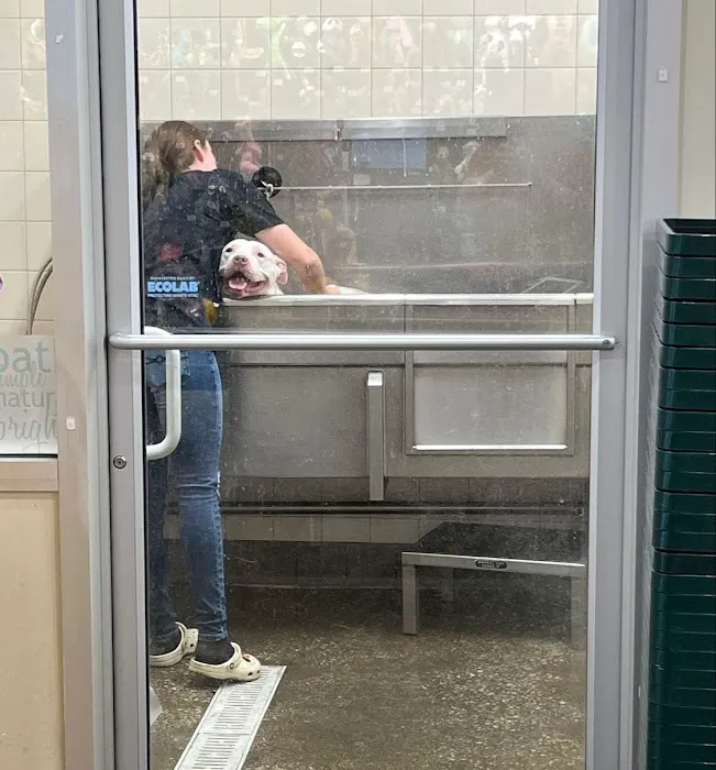 Hollywood Feed Picture 6