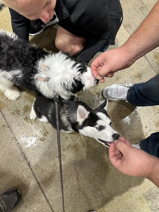 Hollywood Feed Picture 5