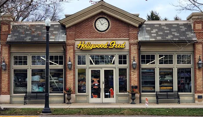 Hollywood Feed Picture 7