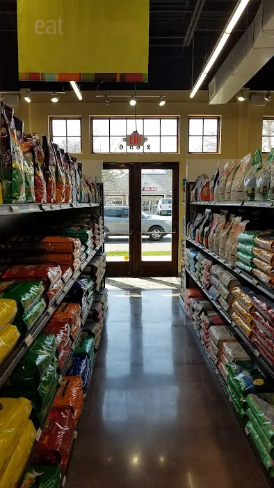 Hollywood Feed Picture 3