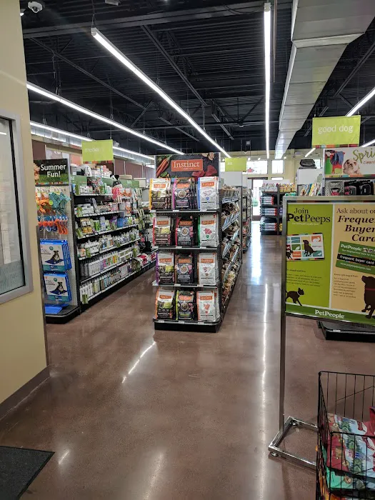 Hollywood Feed Picture 8