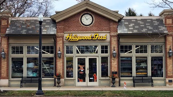 Hollywood Feed Picture 9