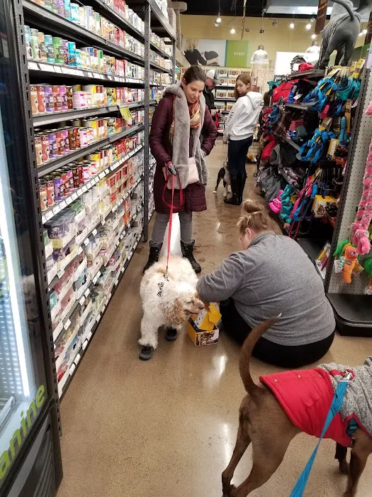 Hollywood Feed Picture 4