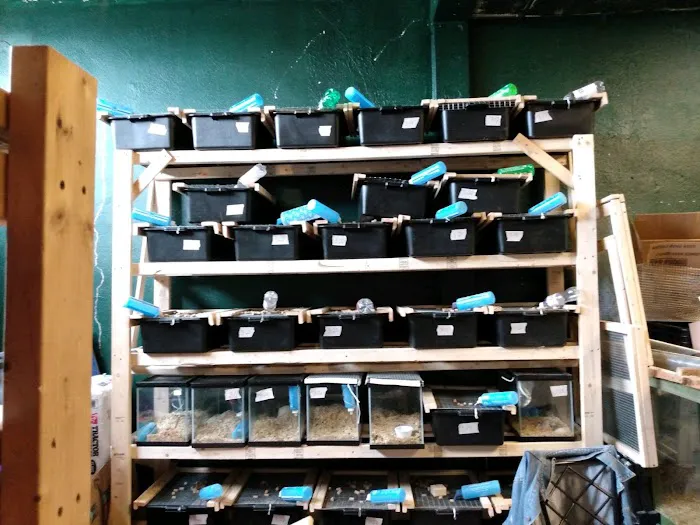 D.K. Reptiles and More Picture 4