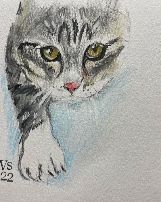 Oakhurst Veterinary Hospital Picture 8