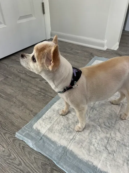 Oakhurst Veterinary Hospital Picture 10