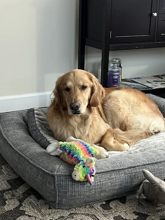 Oakhurst Veterinary Hospital Picture 7