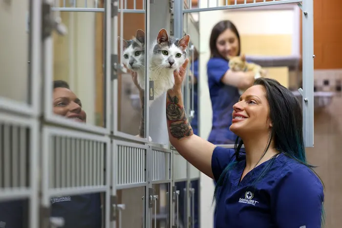 Oakhurst Veterinary Hospital Picture 2