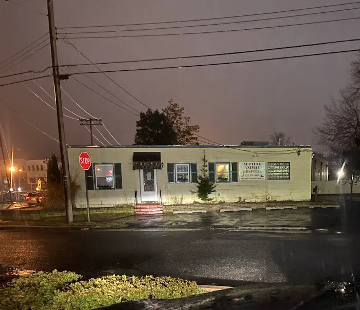 Neptune Animal Hospital Picture 4