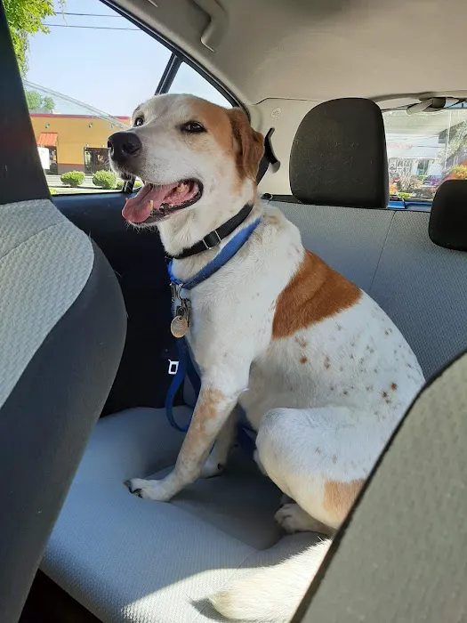 Neptune Animal Hospital Picture 3