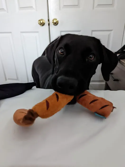 Neptune Animal Hospital Picture 1