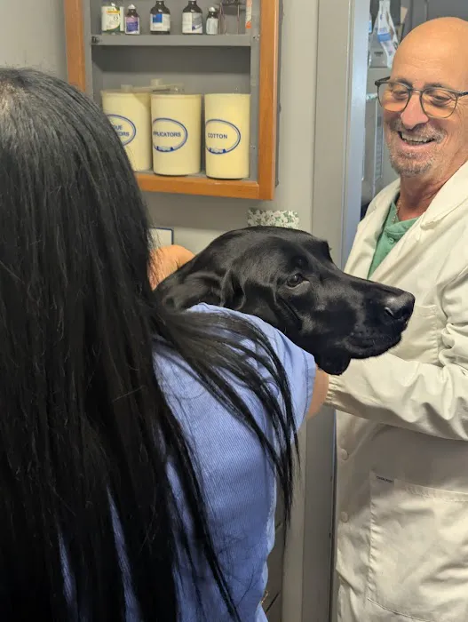 Neptune Animal Hospital Picture 2