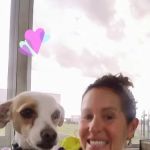 Kittle's Klassic Poodles
