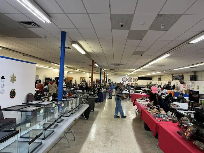 Columbus Reptile Expo Picture 4