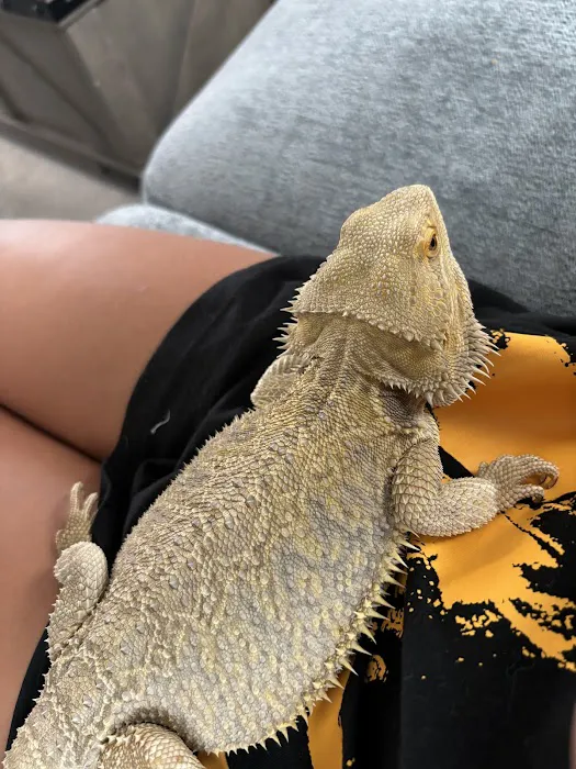 Columbus Reptile Expo Picture 1