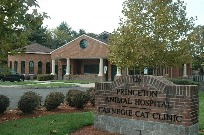 Princeton Animal Hospital & Carnegie Cat Clinic Picture 3