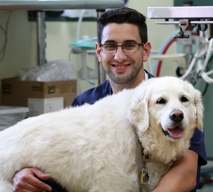 Princeton Animal Hospital & Carnegie Cat Clinic Picture 7