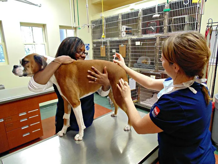 Princeton Animal Hospital & Carnegie Cat Clinic Picture 9