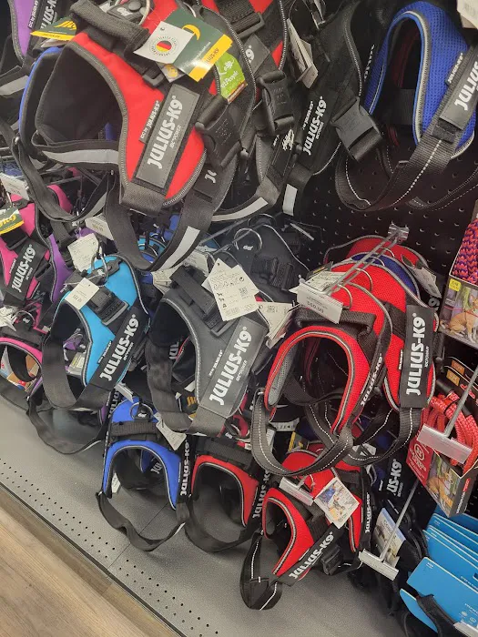 Hollywood Feed Picture 2