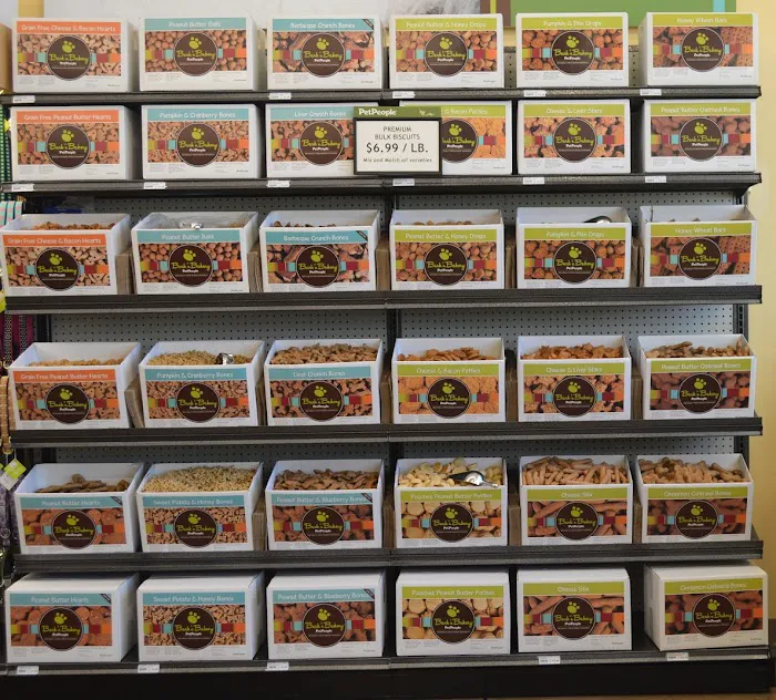 Hollywood Feed Picture 6