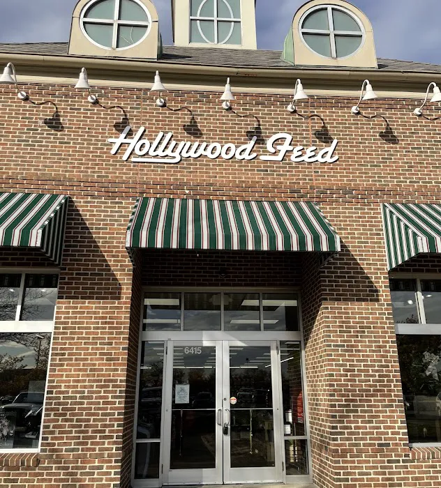 Hollywood Feed Picture 9