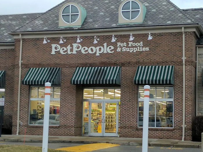 Hollywood Feed Picture 4