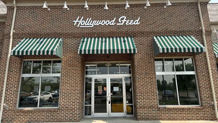 Hollywood Feed Picture 5