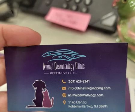 Animal Dermatology Clinic