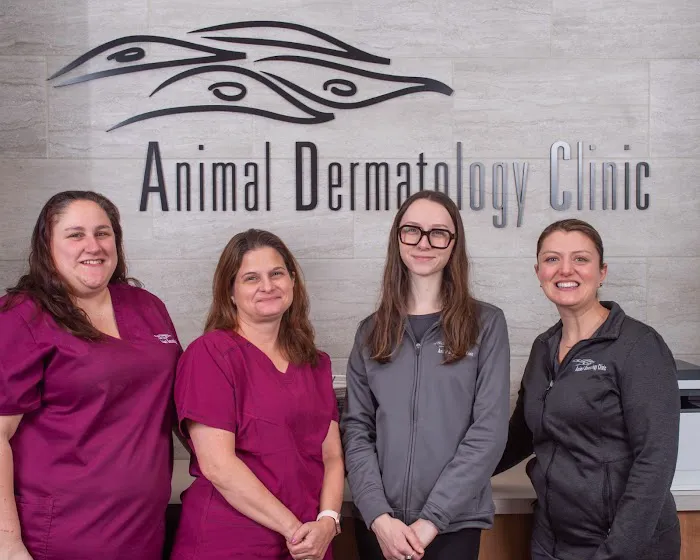 Animal Dermatology Clinic Picture 6