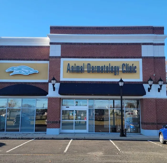 Animal Dermatology Clinic Picture 2